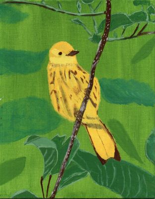 Maureen Fortin
